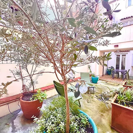 Courtyard 23 *