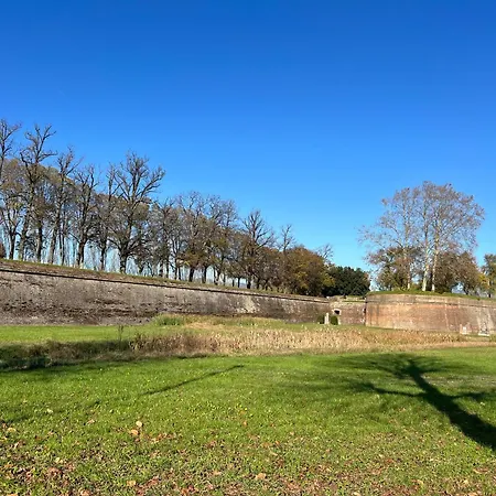 Apartamento Courtyard 23